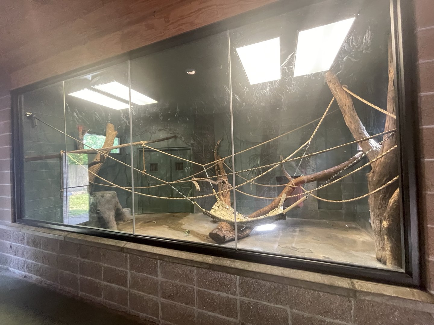 Dickerson Park Zoo-- Siamang Indoor Enclosure