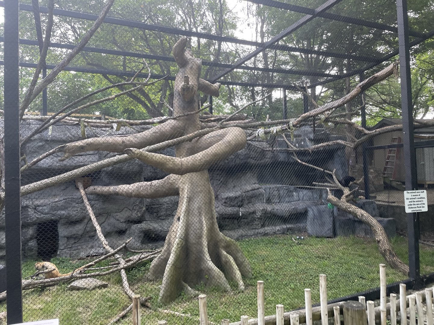 Dickerson Park Zoo-- Spider Monkey Exhibit
