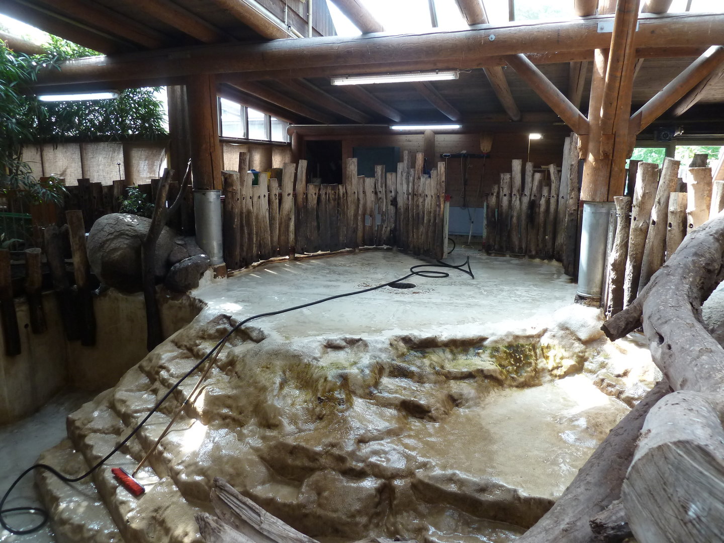 Dickhäuterhaus - Hippo enclosure