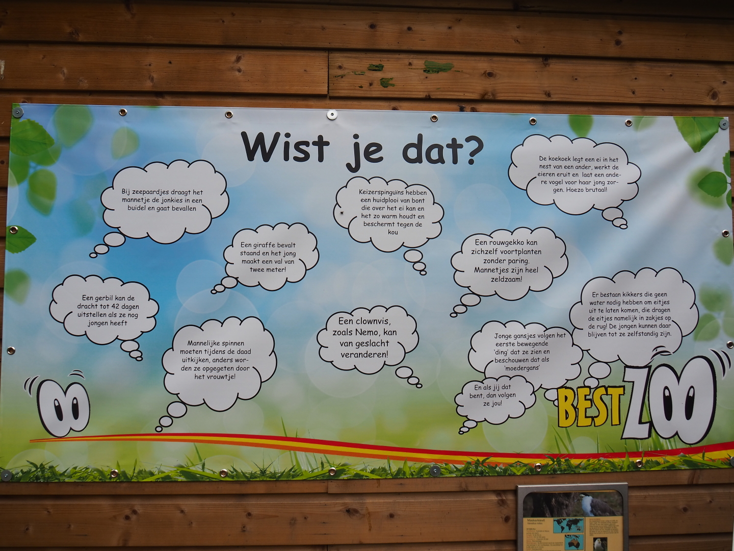 Did you know animal facts banner, 2019-05-25