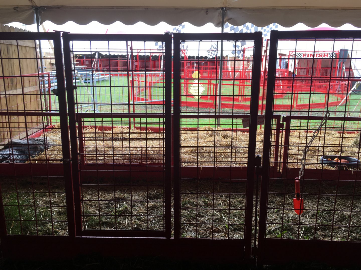 Didier Farms - African Crested Porcipine Pen