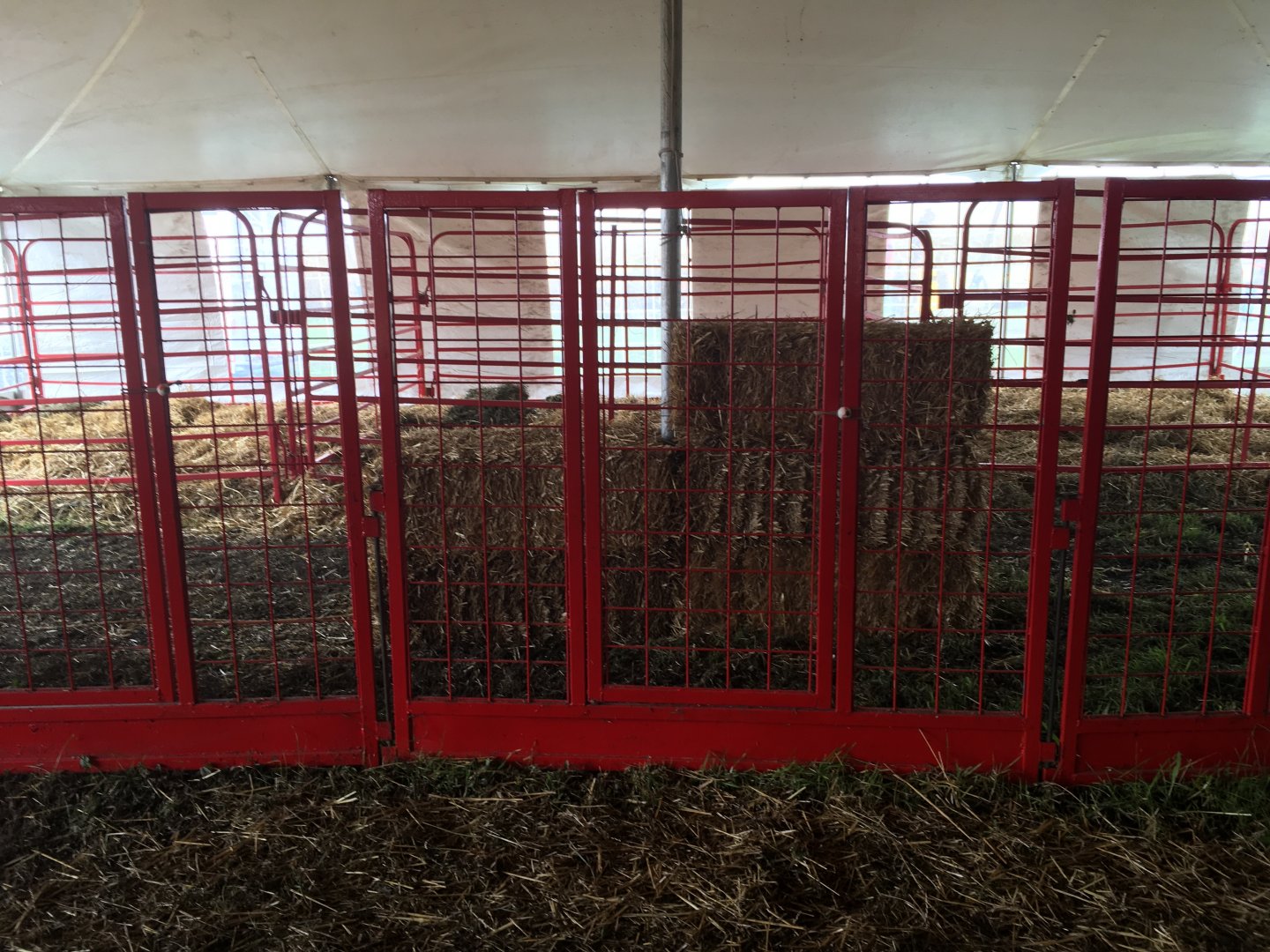 Didier Farms - Camel Holding