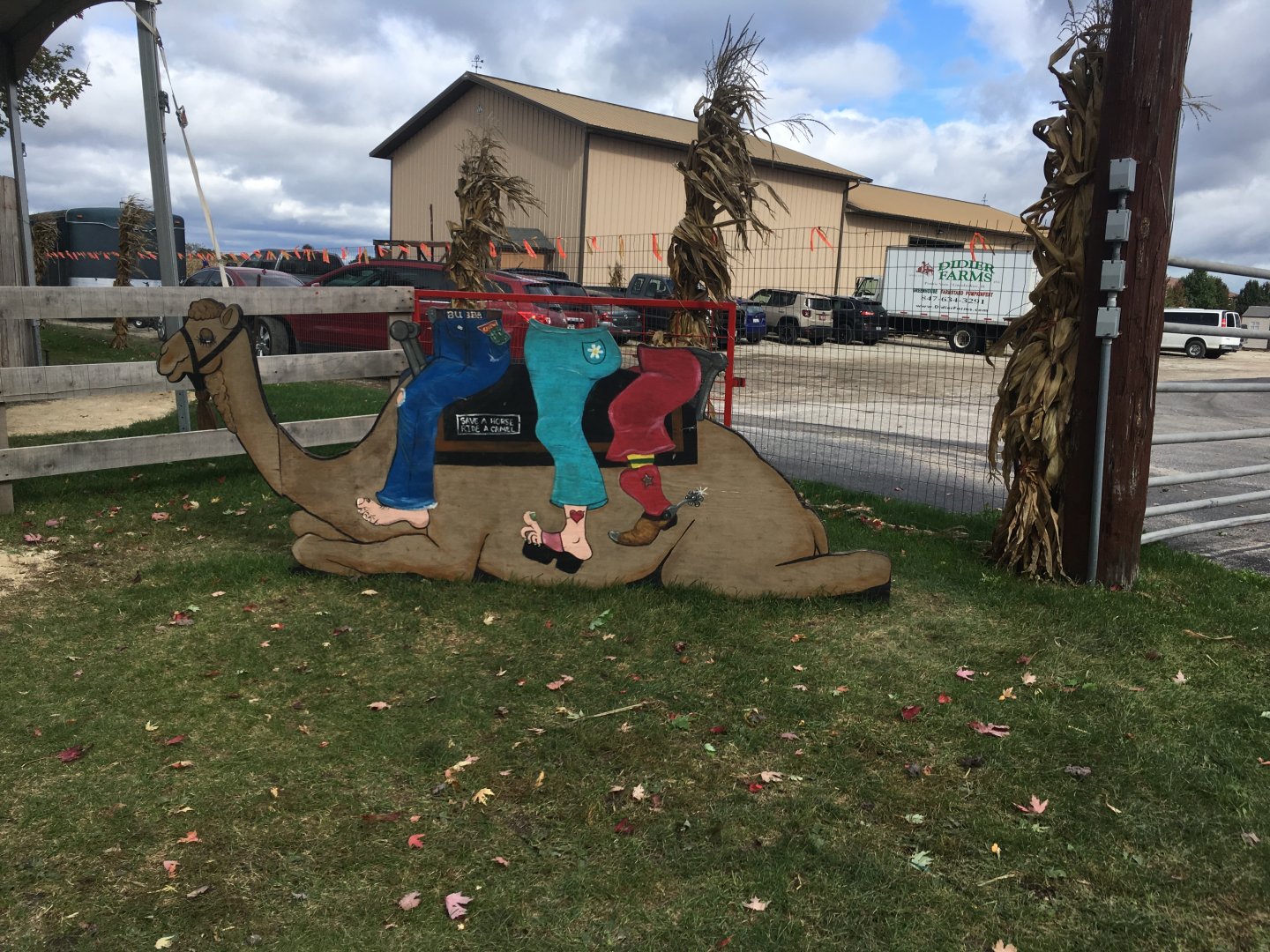 Didier Farms - Camel Ride Sign