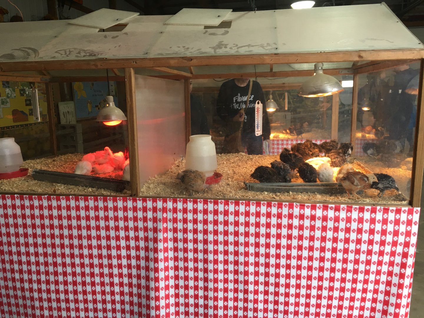 Didier Farms - Chick Incubator