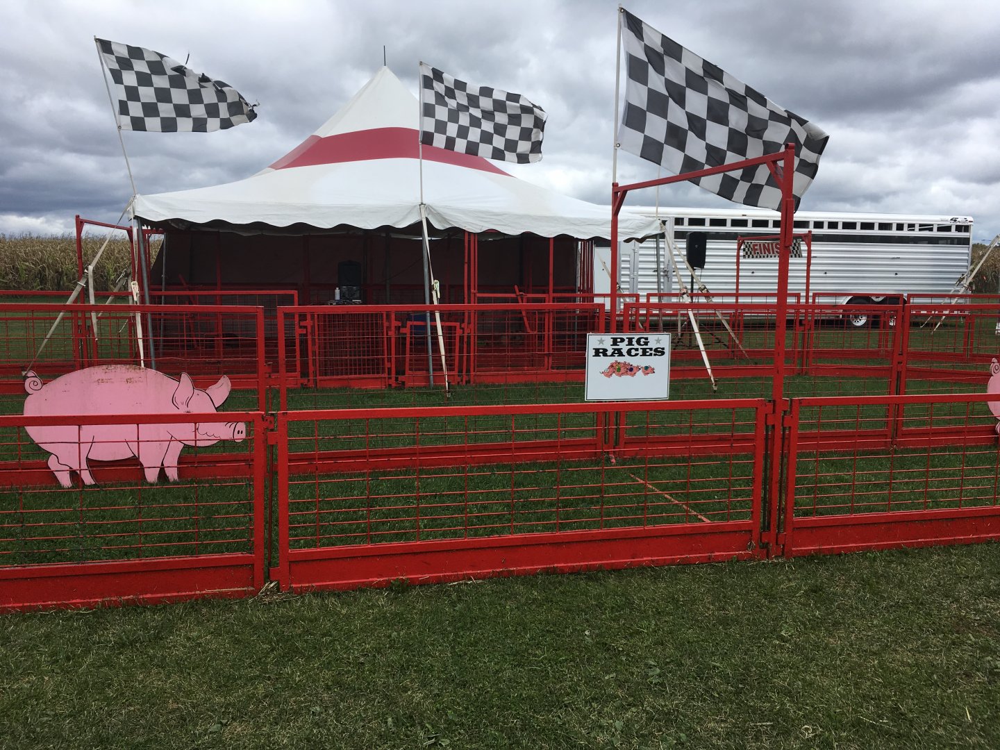 Didier Farms - Pig Racing Track