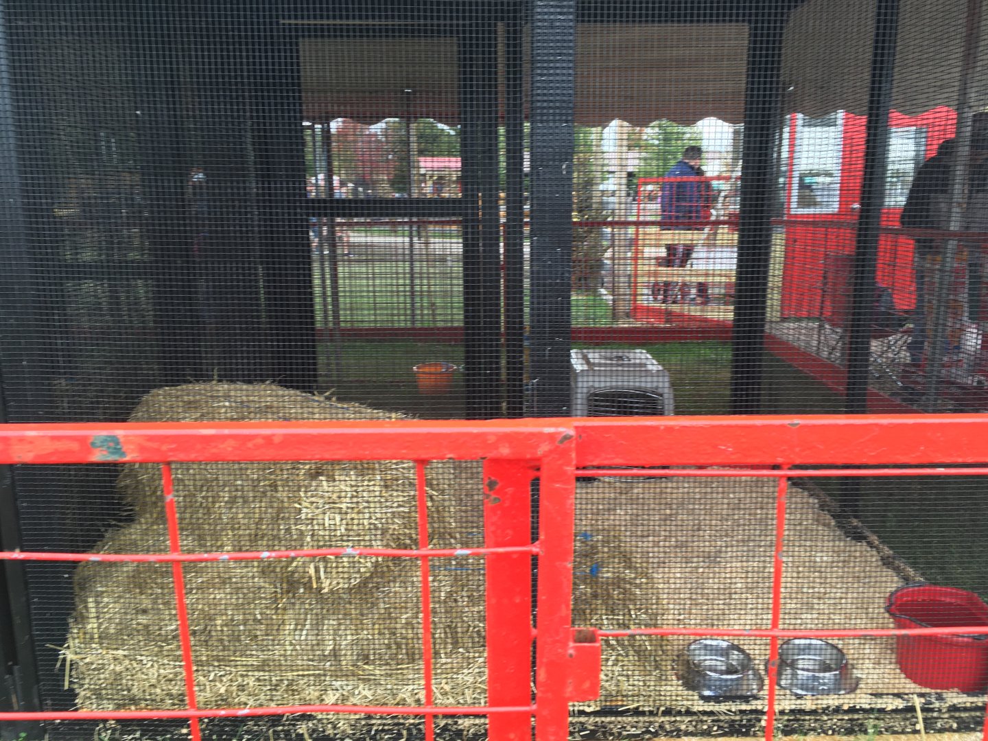 Didier Farms - Serval Cage