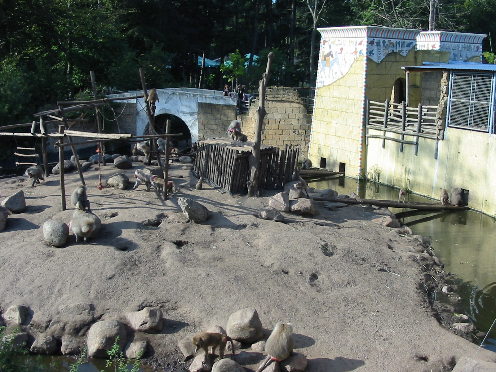 Dierenpark Amersfoort 2004 - Baboon exhibit