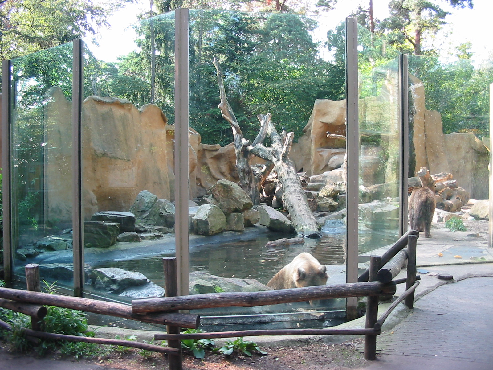 Dierenpark Amersfoort 2004 - Brown Bear exhibit