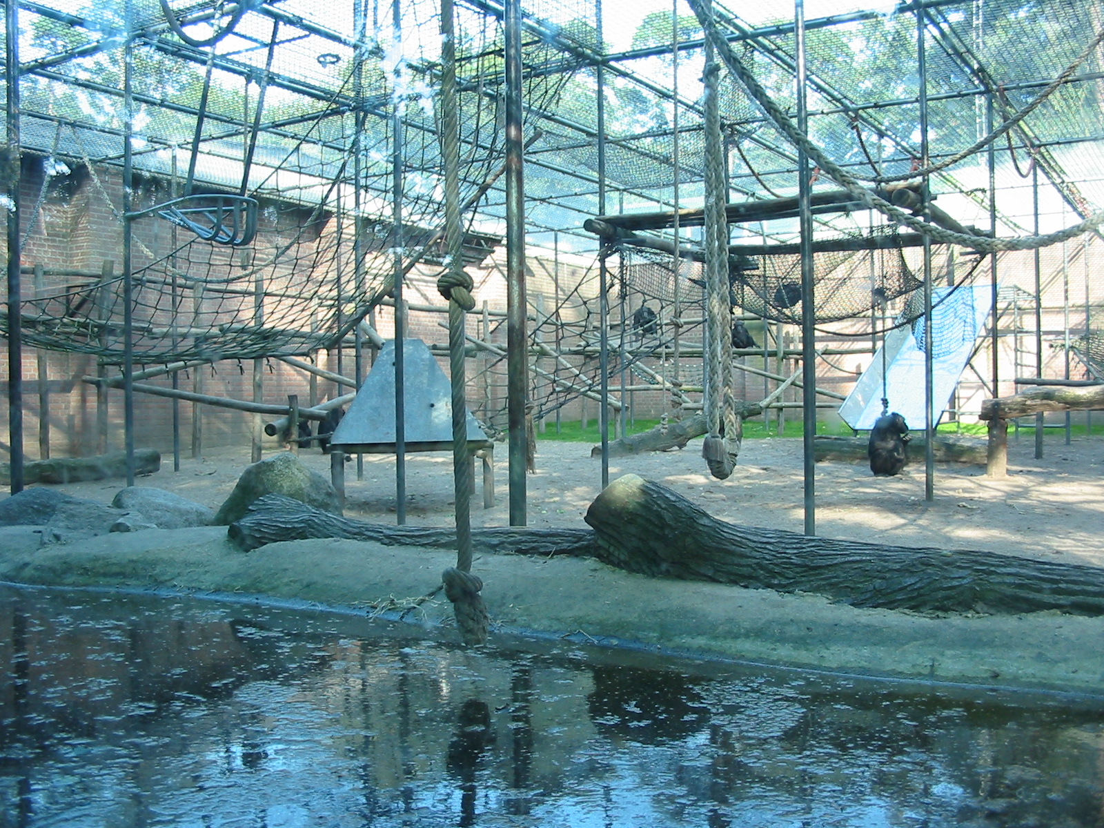 Dierenpark Amersfoort 2004 - Chimpanzee exhibit