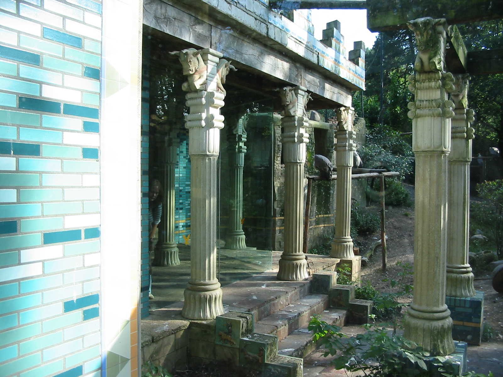 Dierenpark Amersfoort 2004 - Exhibit for Black-backed Jackal and Griffion V