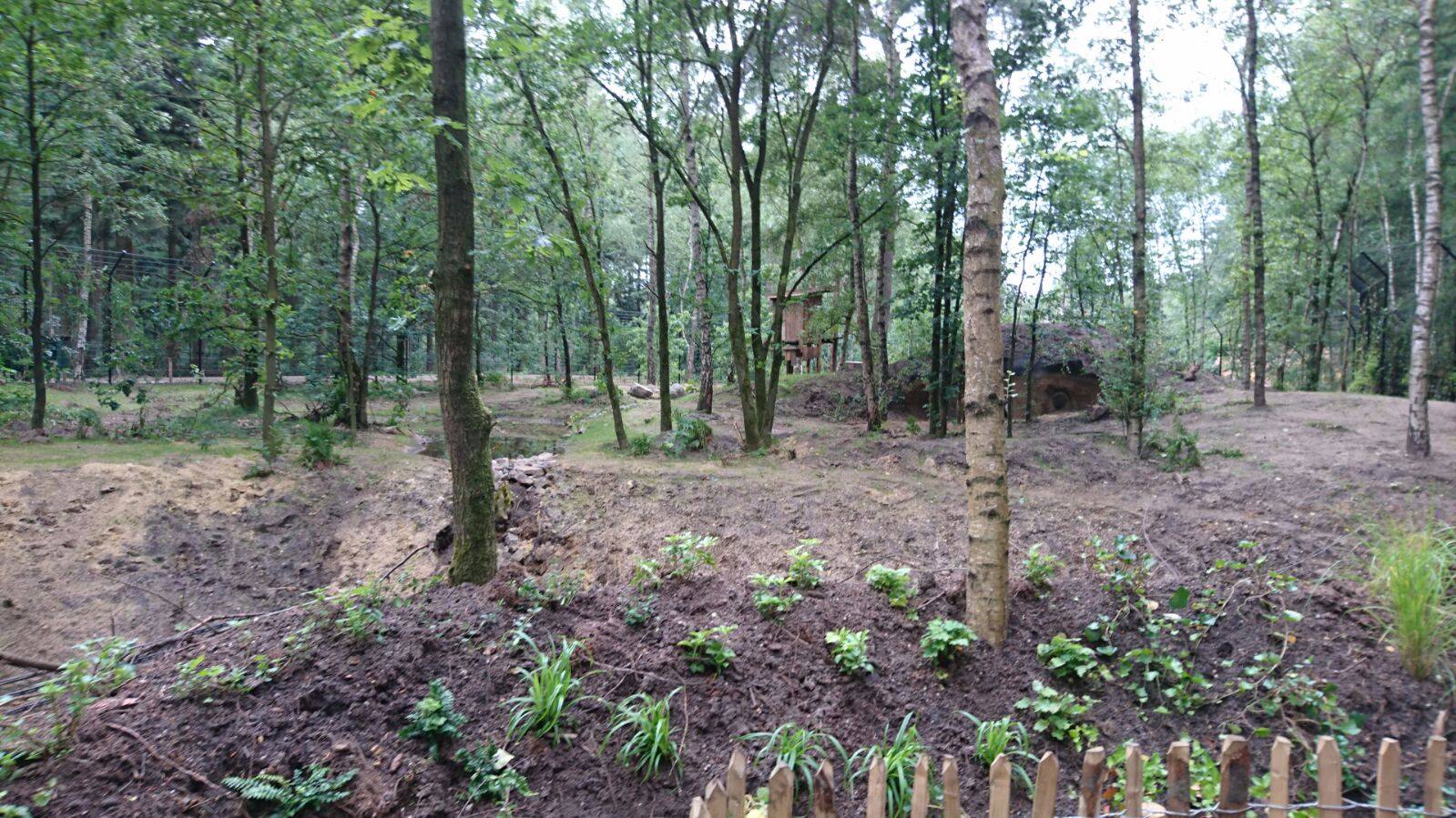 DierenPark Amersfoort - Het Woud