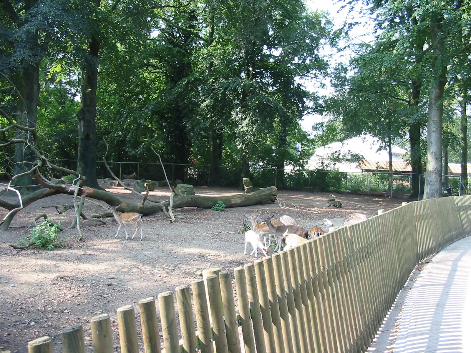 Dierenpark Rhenen 2004 - Deer enclosure