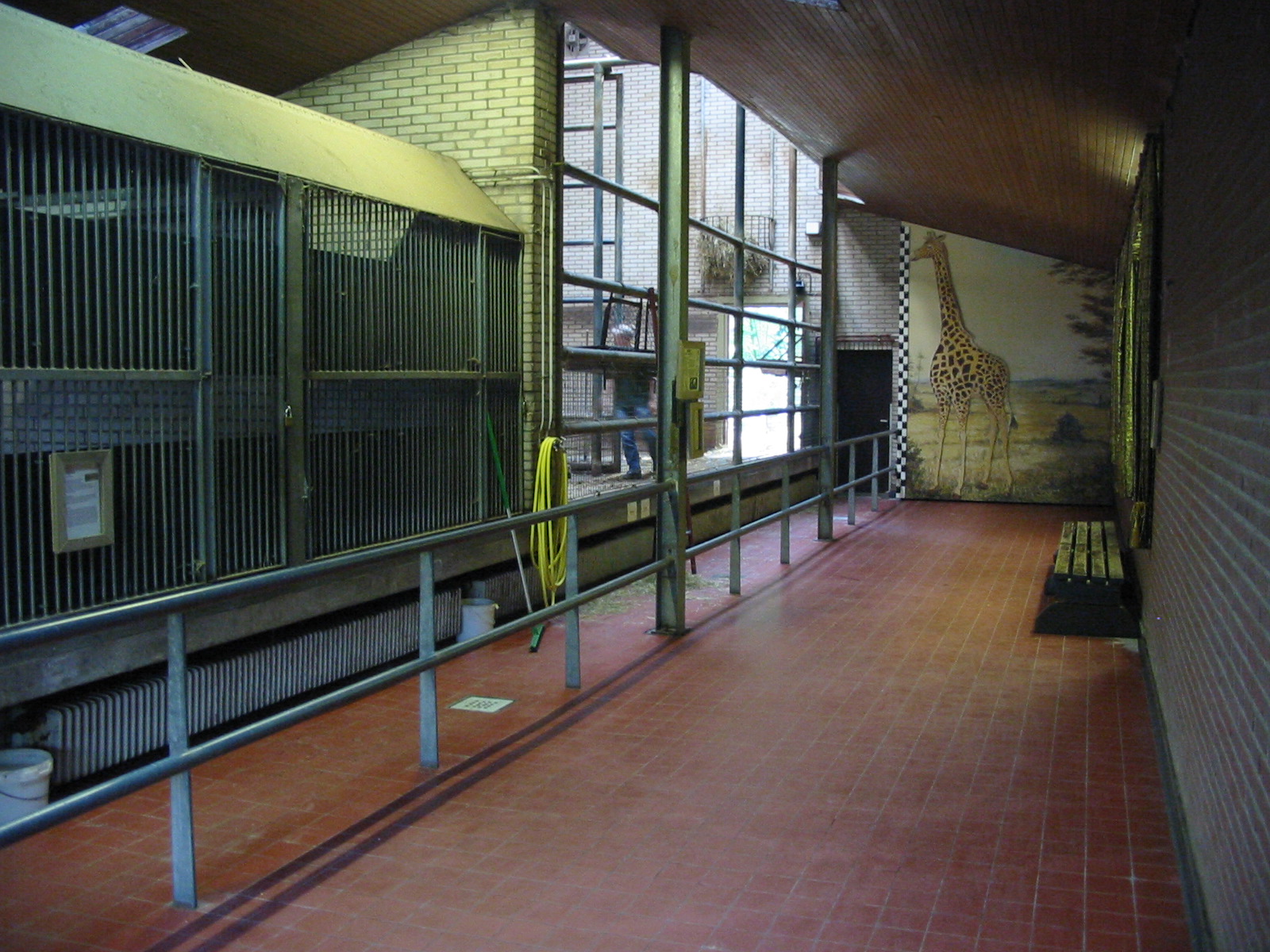 Dierenpark Rhenen 2004 - Inside the Giraffe House
