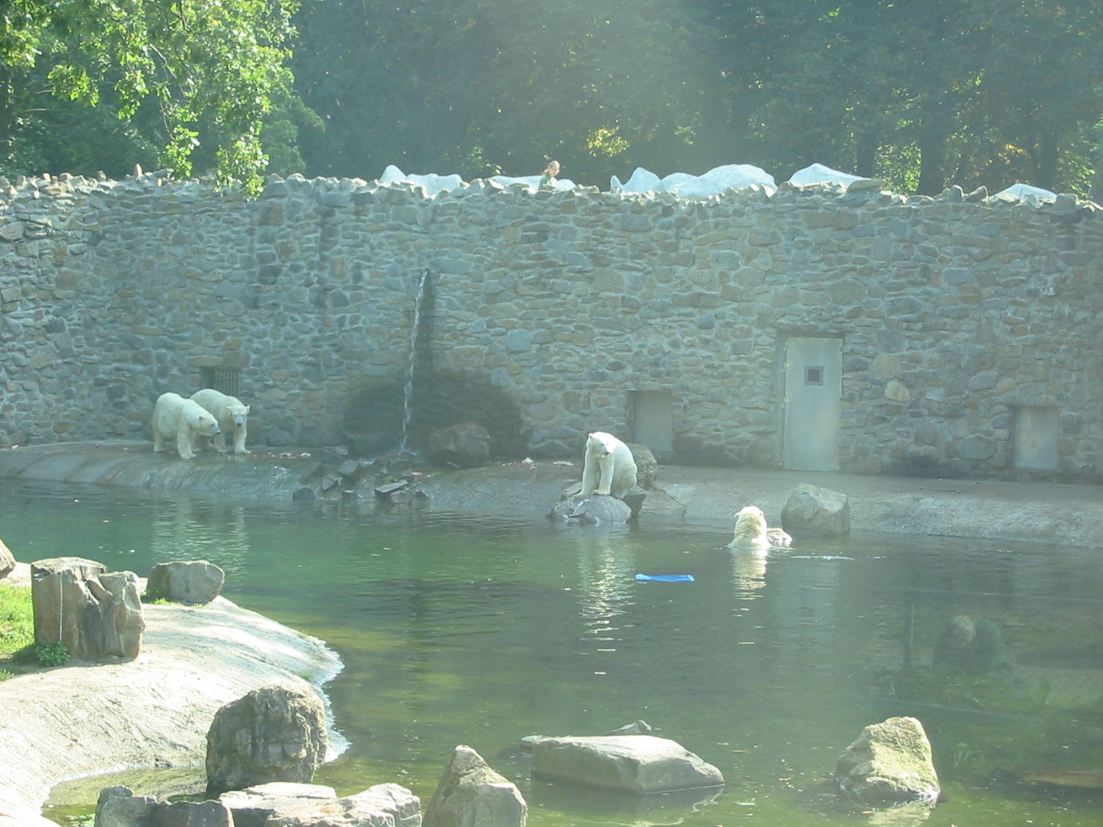 Dierenpark Rhenen 2004 - Part of the new Polar Bear exhibit