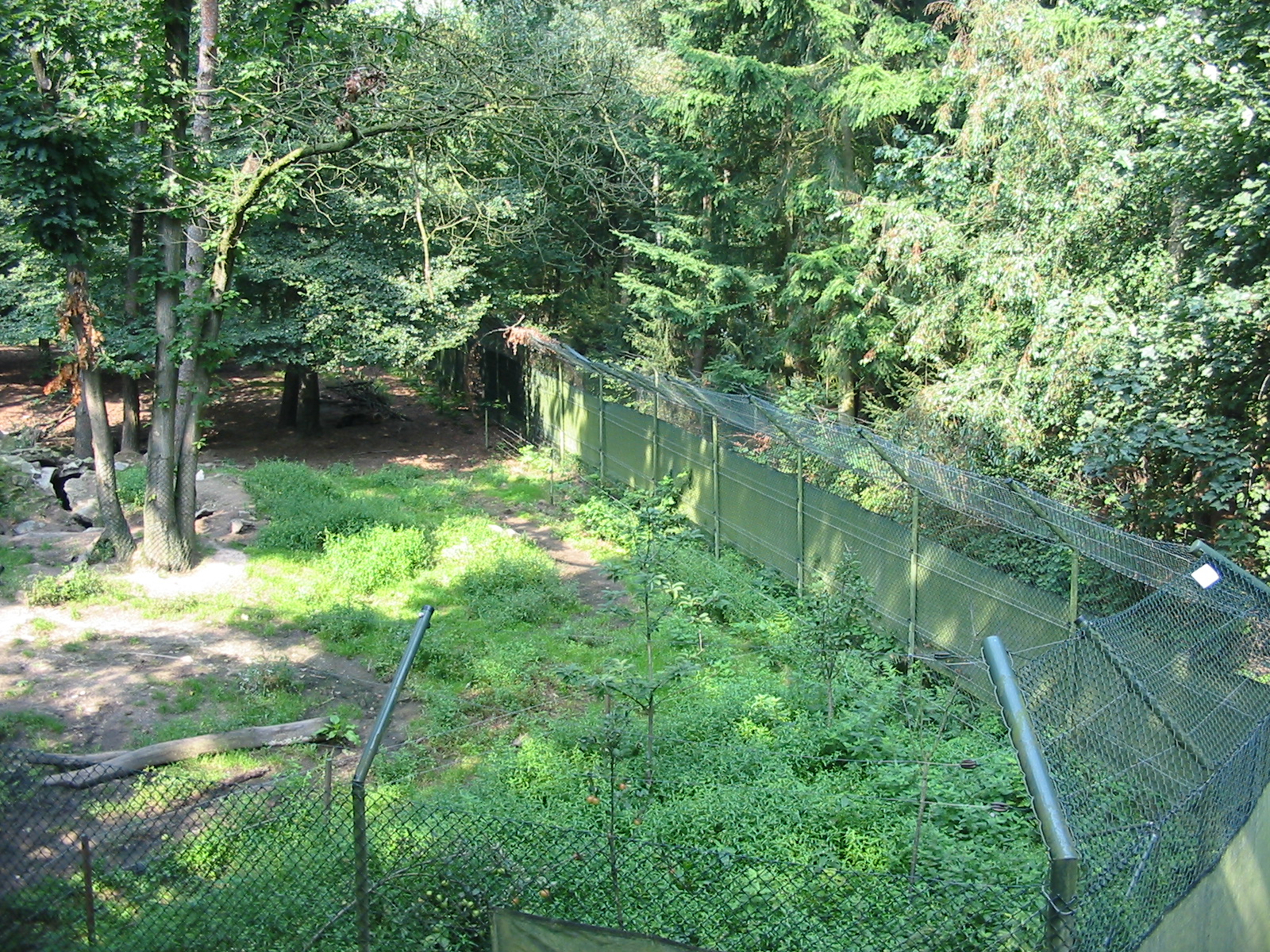 Dierenpark Rhenen 2004 - Perimeter of the Brown Bear enclosure