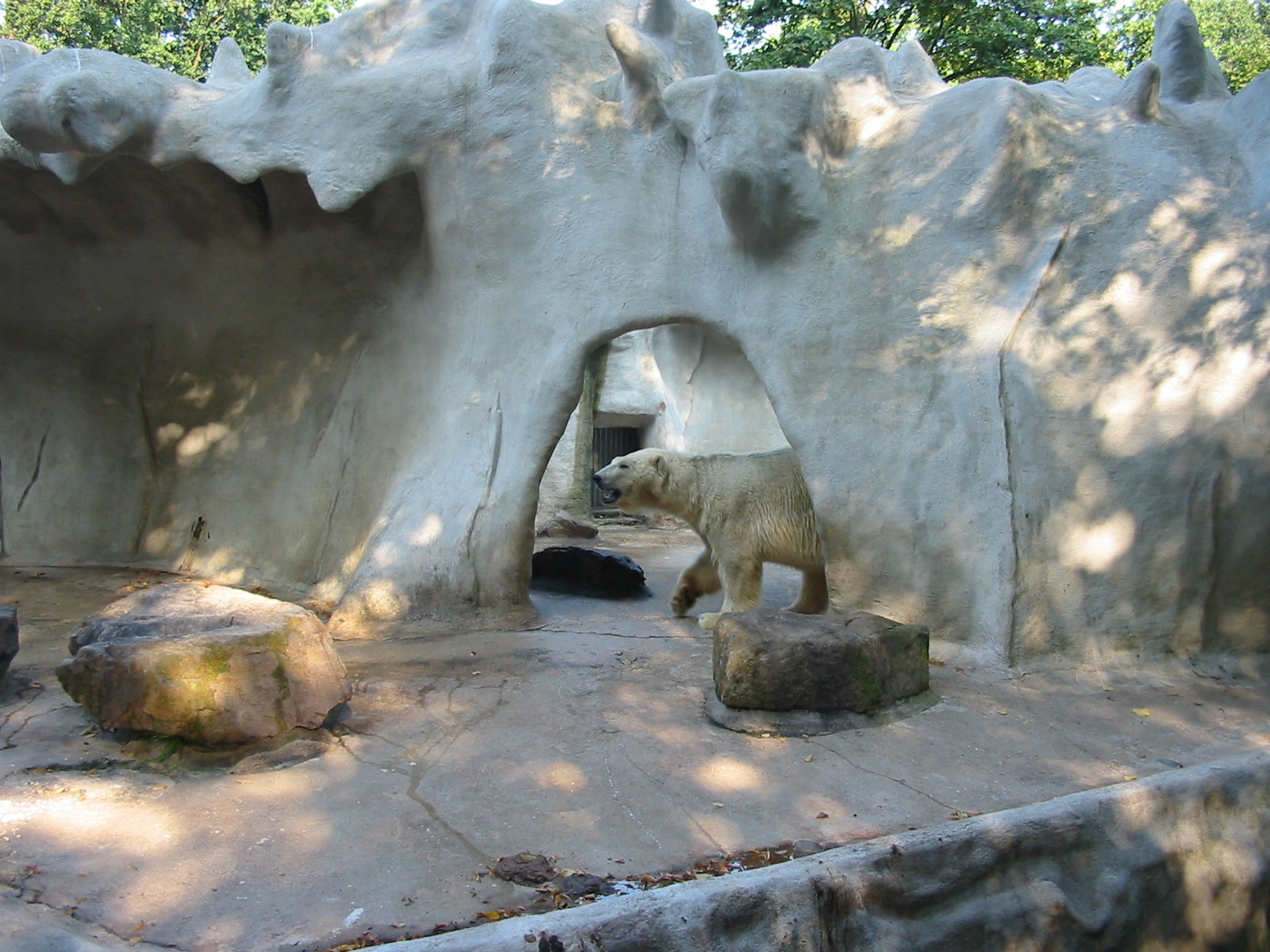 Dierenpark Rhenen 2004 - The old Polar Bear exhibit