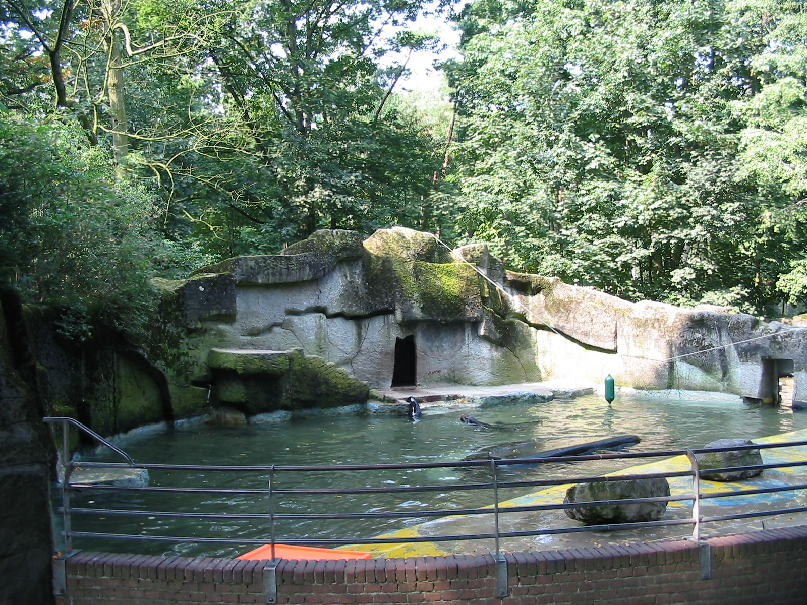 Dierenpark Rhenen 2004 - Tiny and old exhibit for California Sea Lions