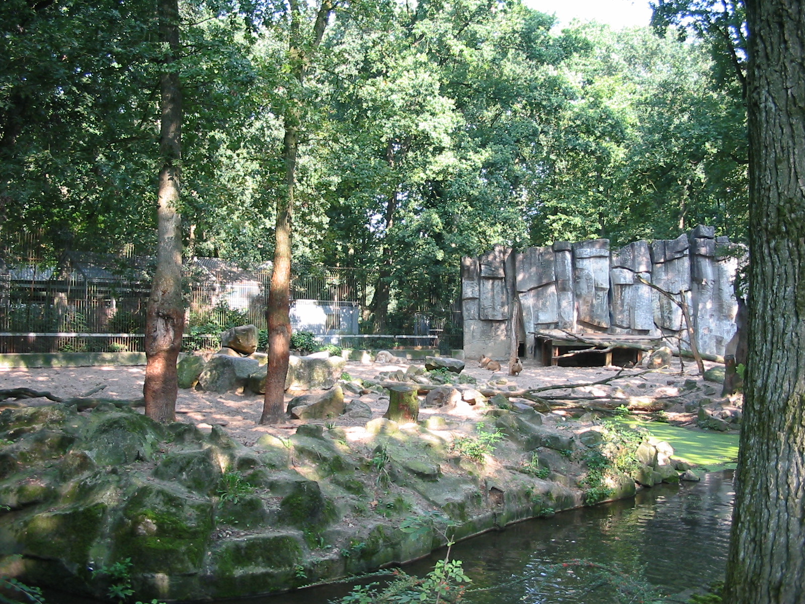 Dierenpark Rhenen 2004 - White lion exhibit