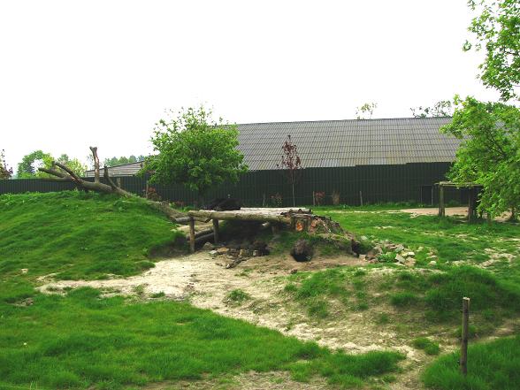 Dierenrijk - Asian Black Bear Enclosure