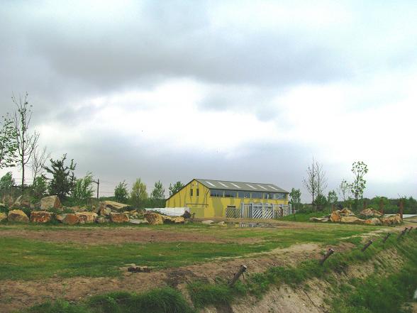 Dierenrijk - Asian Elephant Enclosure