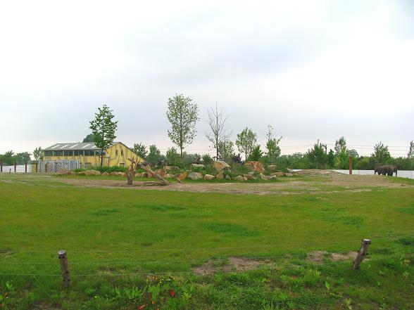 Dierenrijk - Asian Elephant Enclosure