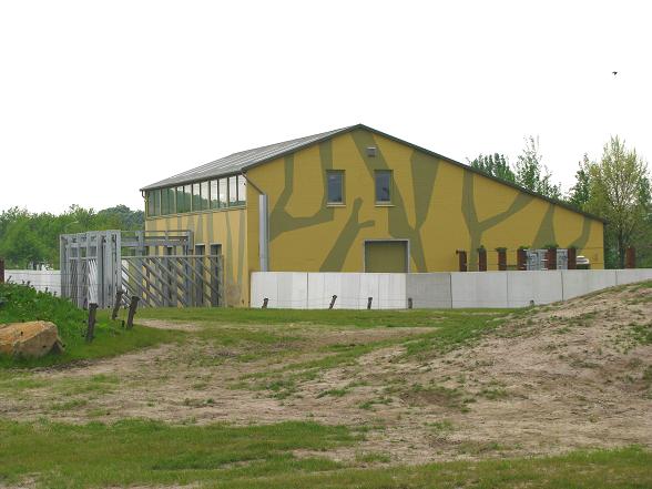 Dierenrijk - Asian Elephant Enclosure