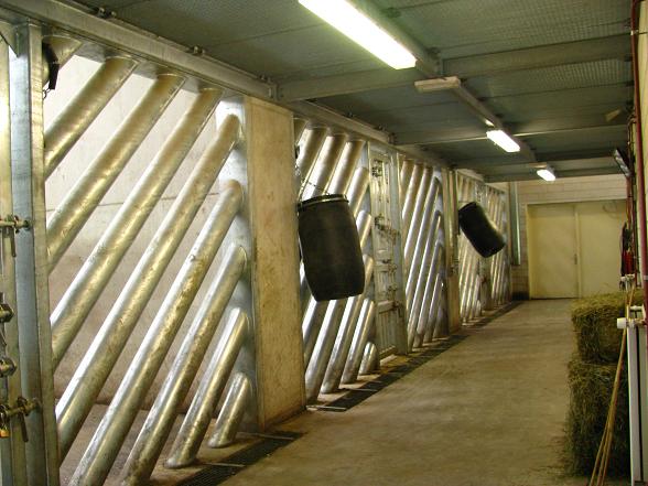 Dierenrijk - Asian Elephant Enclosure