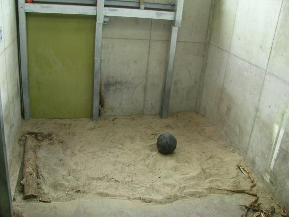 Dierenrijk - Asian Elephant Enclosure