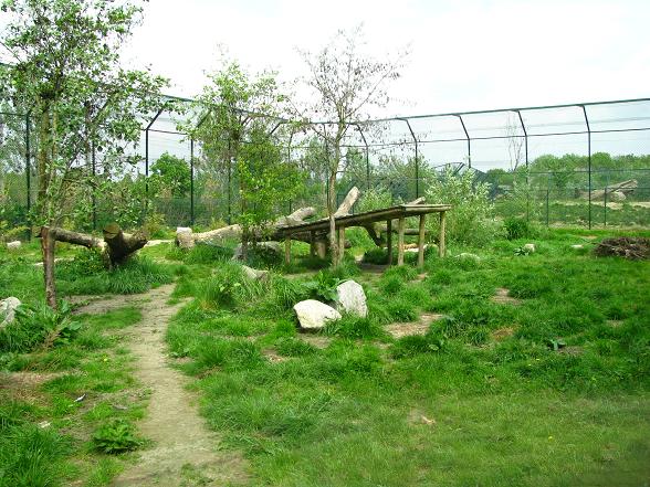 Dierenrijk - Siberian Tiger Enclosure