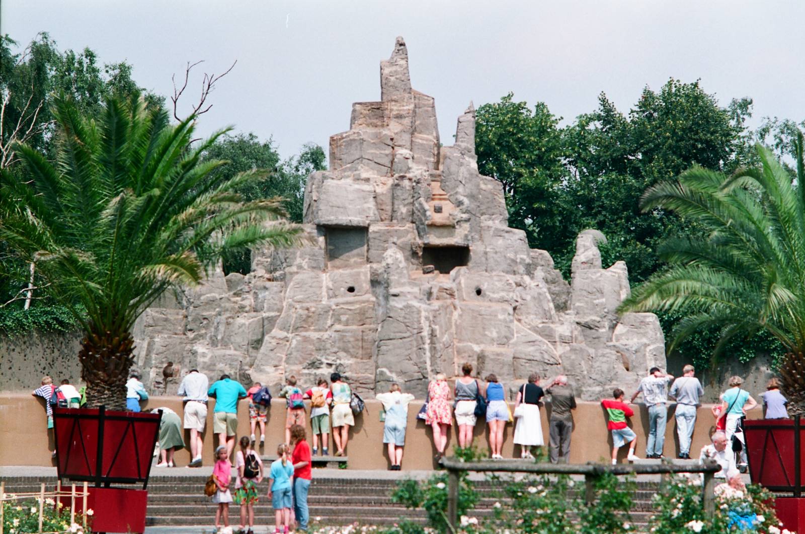 Diergaarde Blijdorp 1992 - Baboon Rock