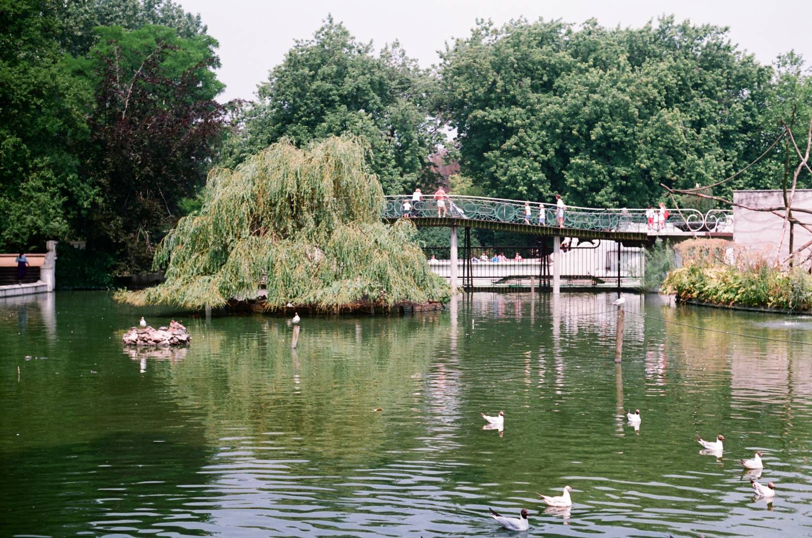 Diergaarde Blijdorp 1992 - Lake in the zoo