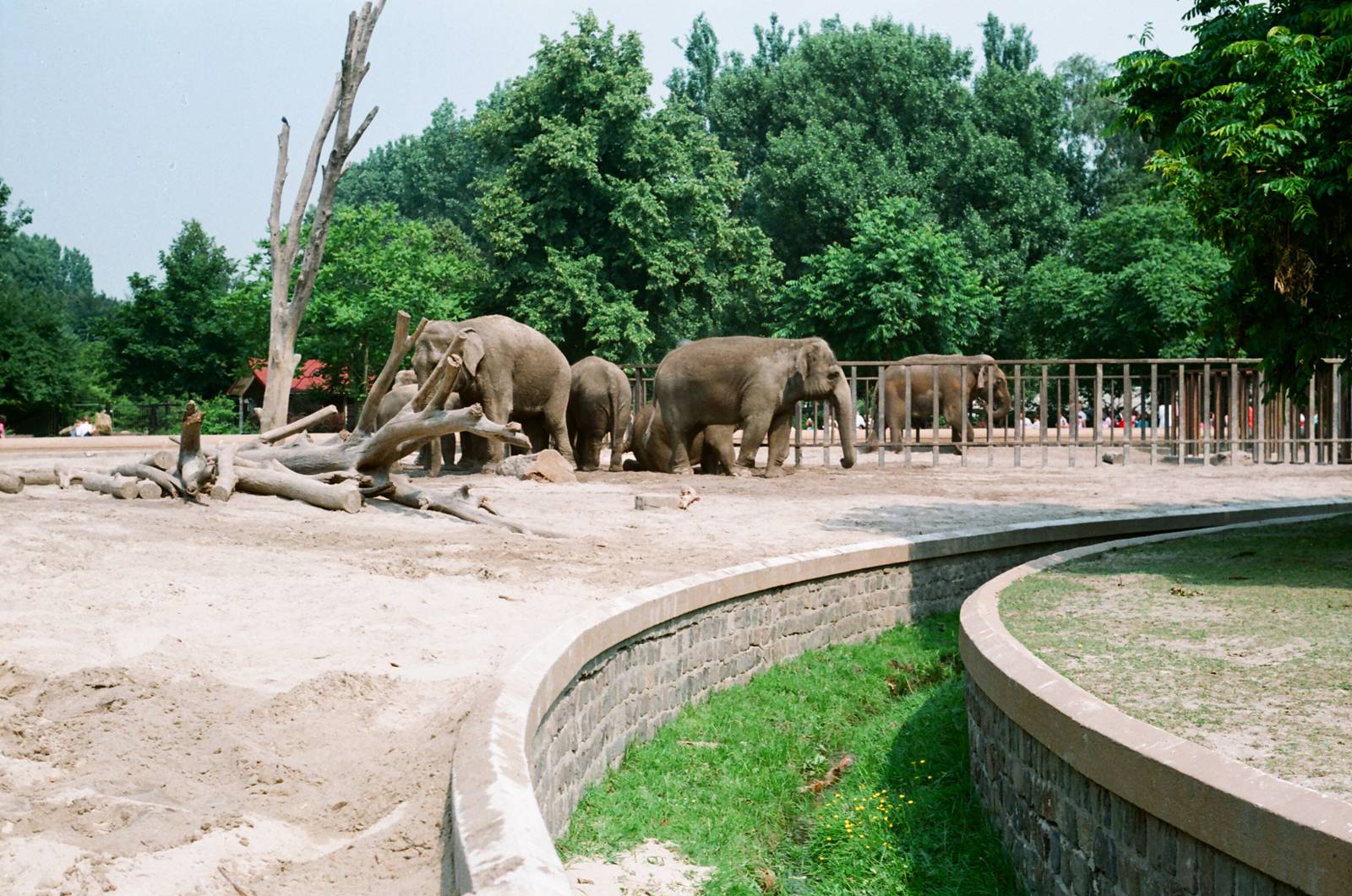 Diergaarde Blijdorp 1992 - The old elephant exhibit