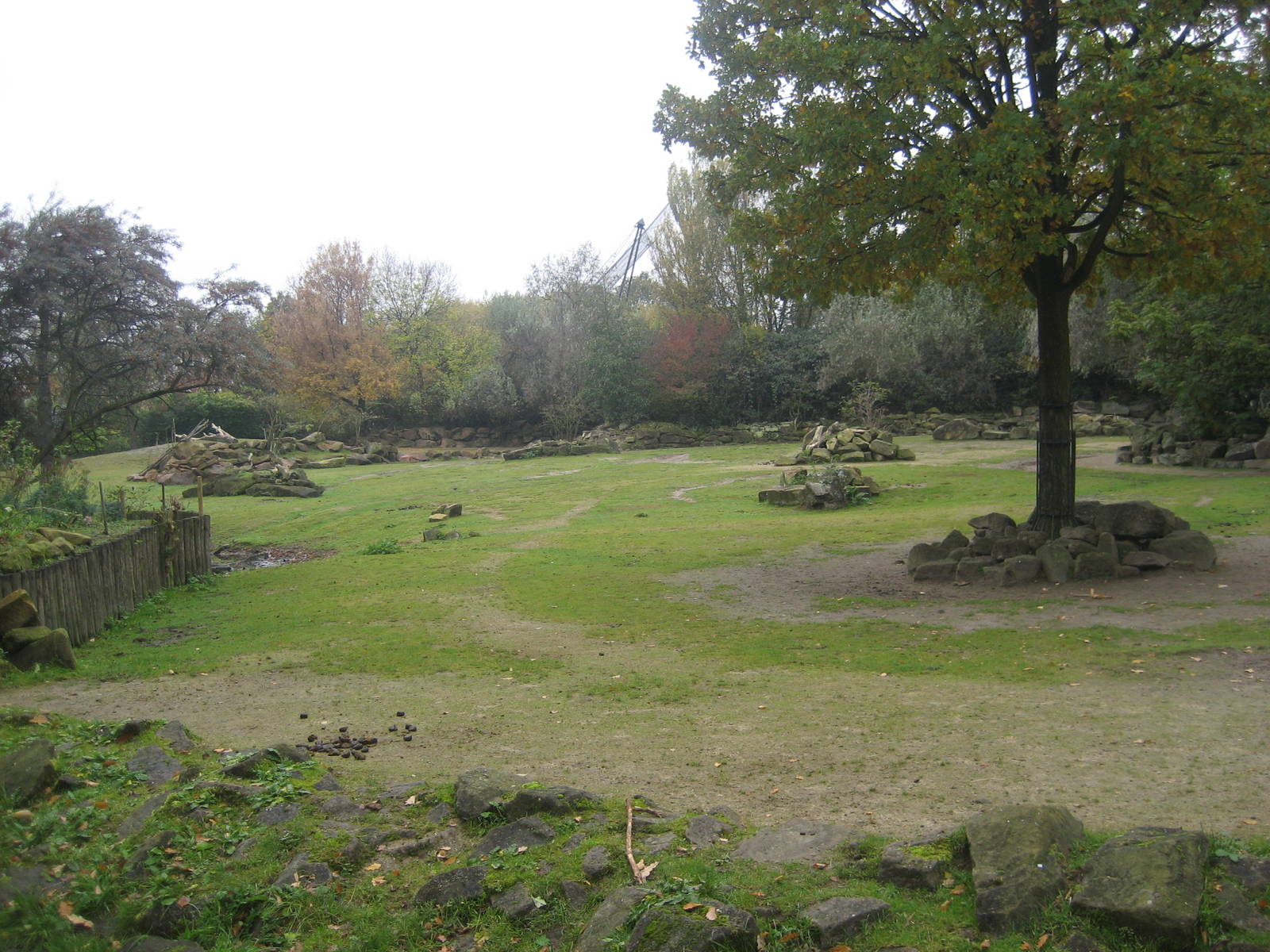 Diergaarde Blijdorp - Asian steppe