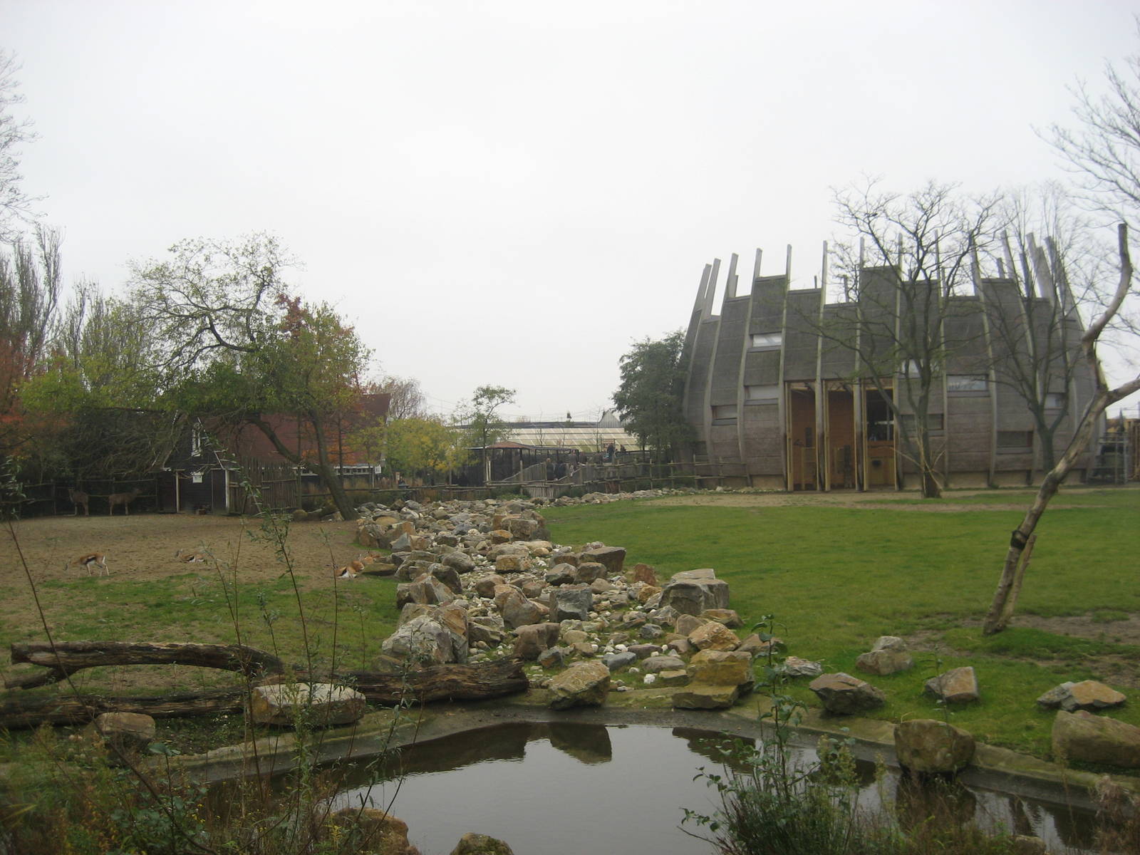 Diergaarde Blijdorp - Savannah and giraffe house