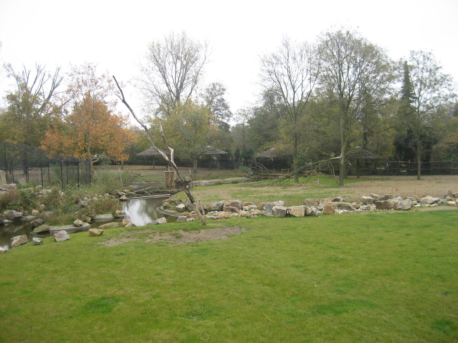 Diergaarde Blijdorp - Savannah exhibit