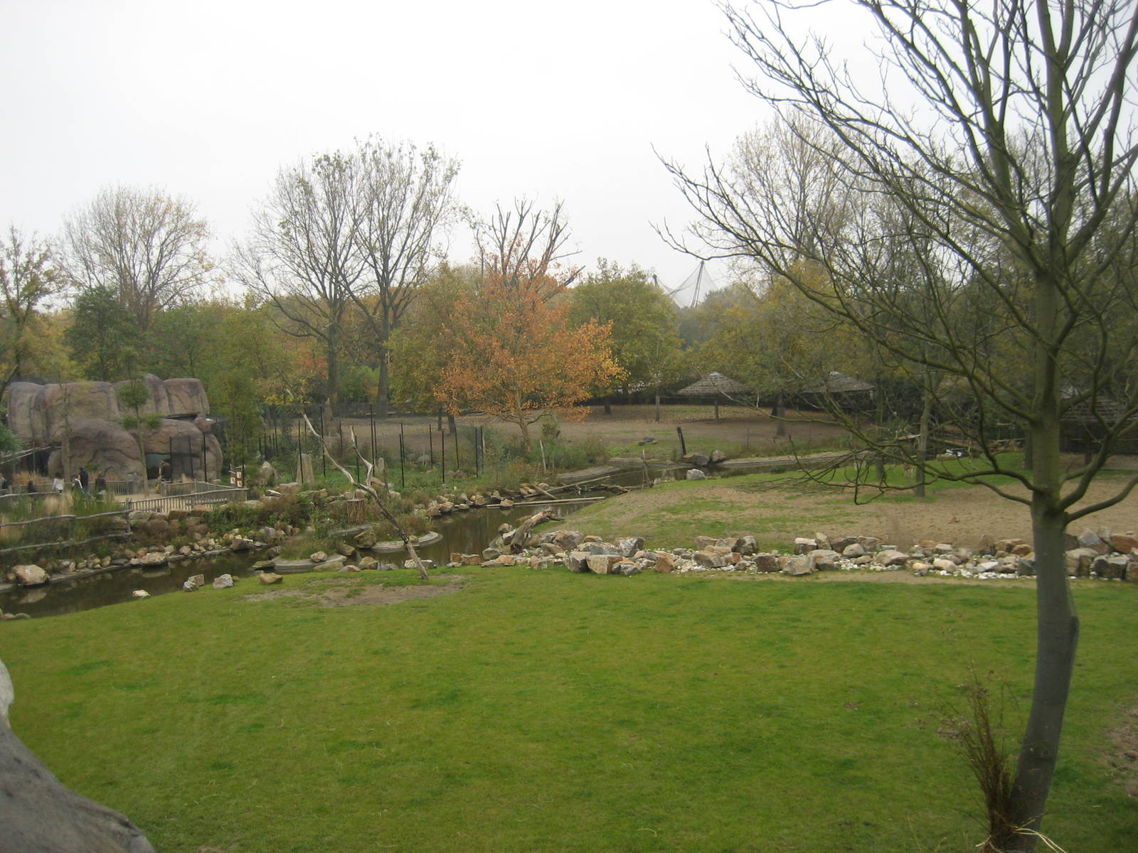 Diergaarde Blijdorp - Savannah exhibit