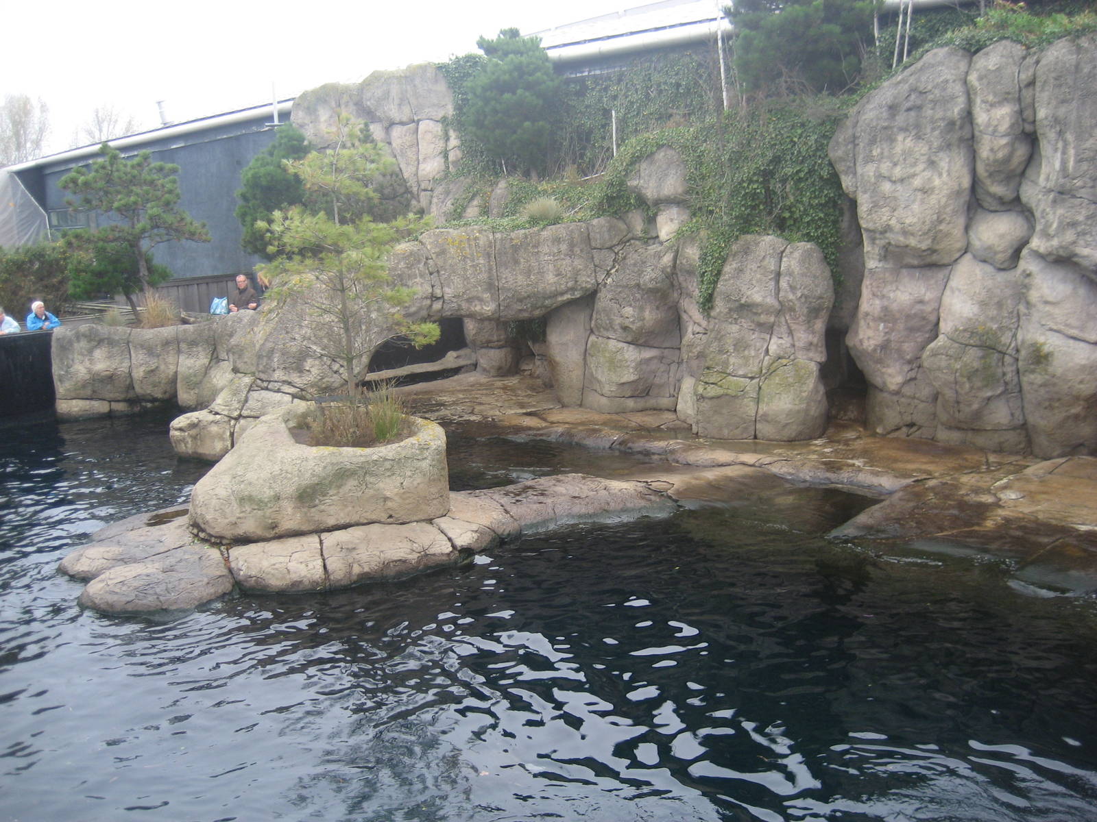 Diergaarde Blijdorp - Sea lion exhibit