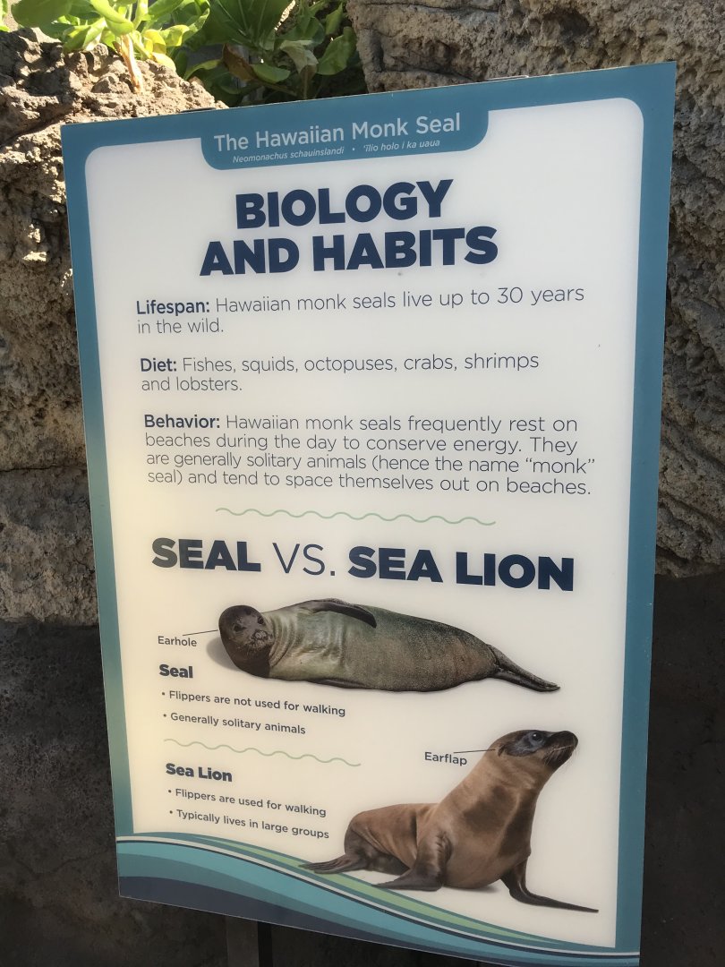 Difference between two pinniped types