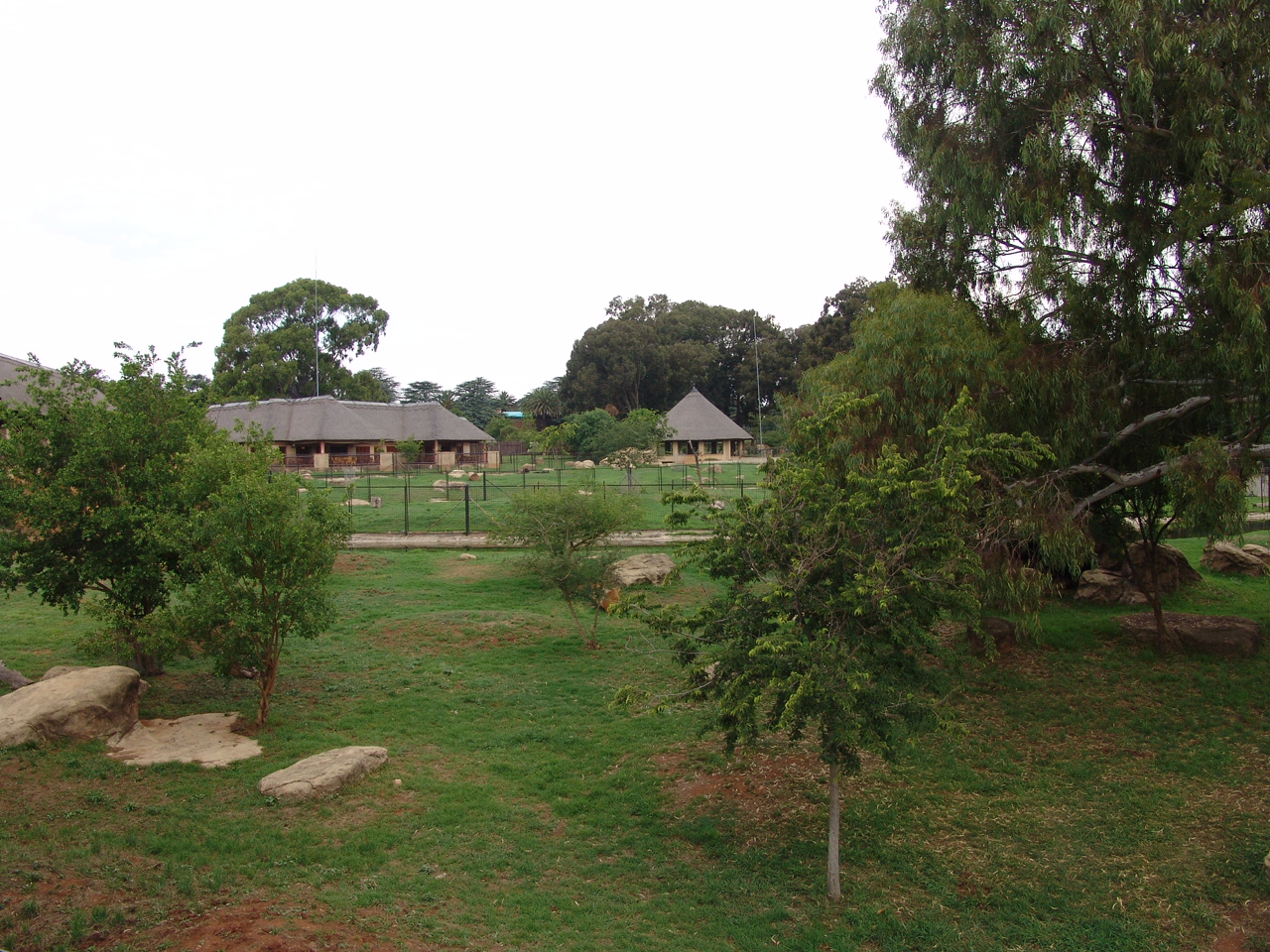 Different antelope's exhibits