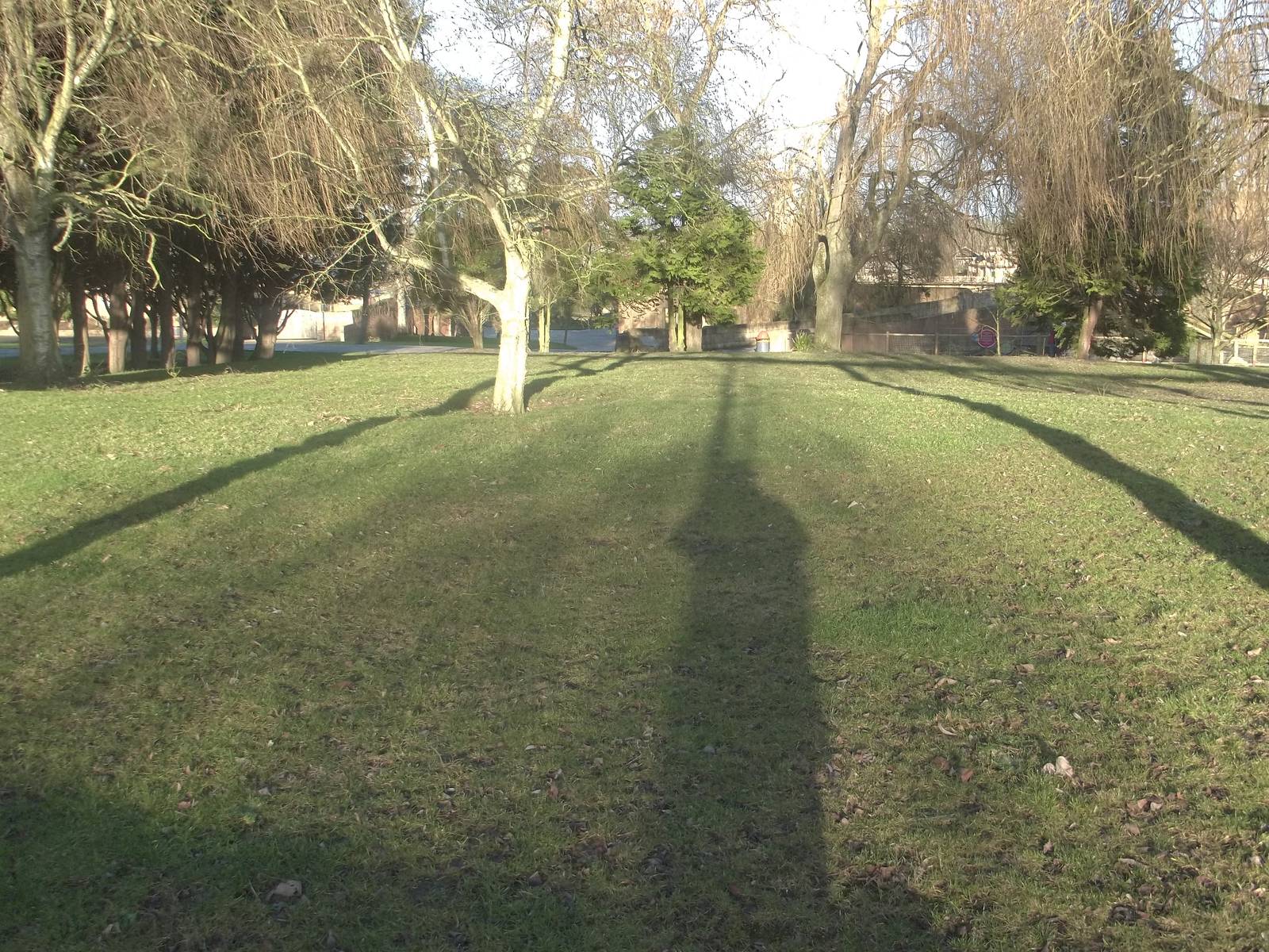 Difficult to believe a pool was ever here, 2nd January 2015