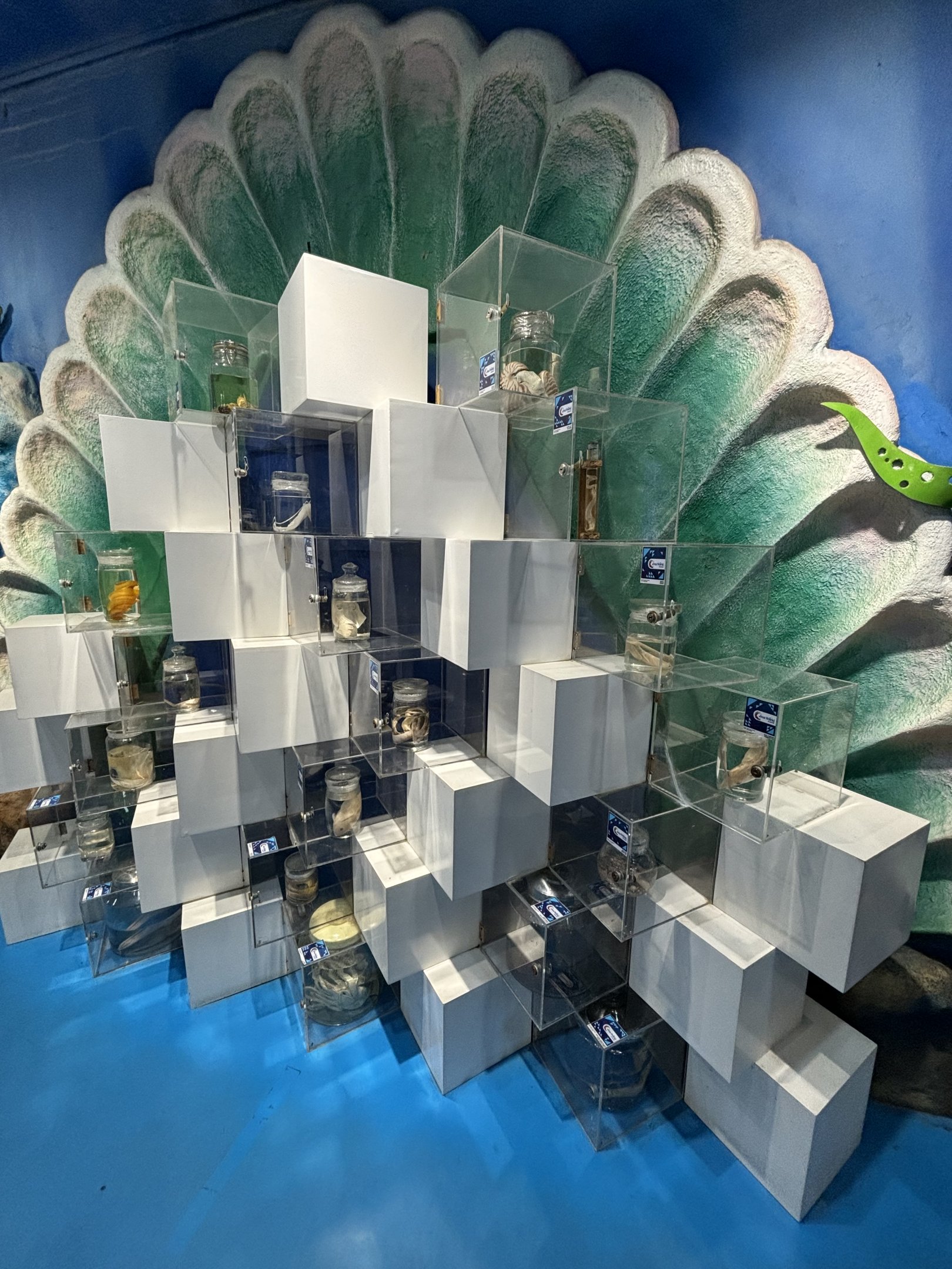 Digital Gallery - artistic!