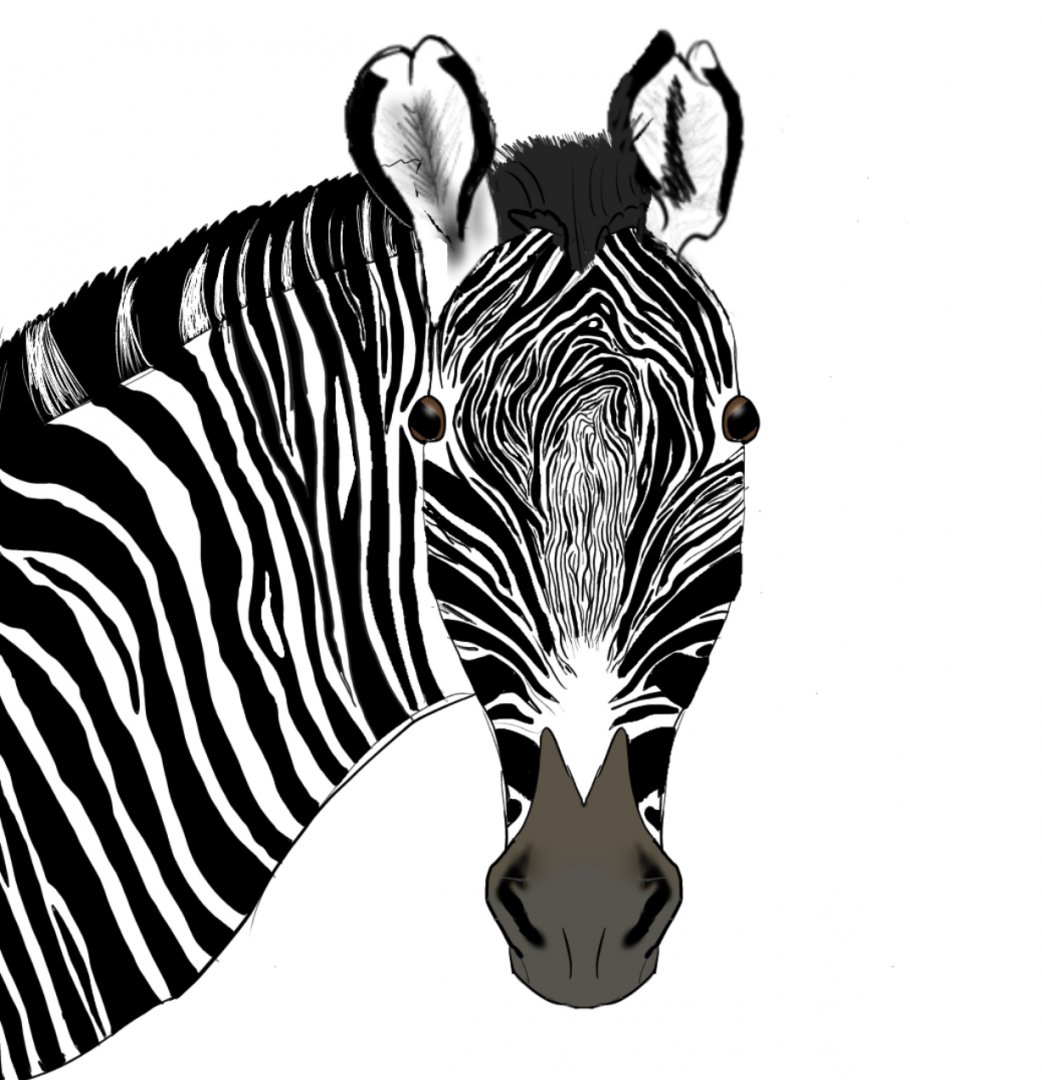 Digital Grévy’s Zebra