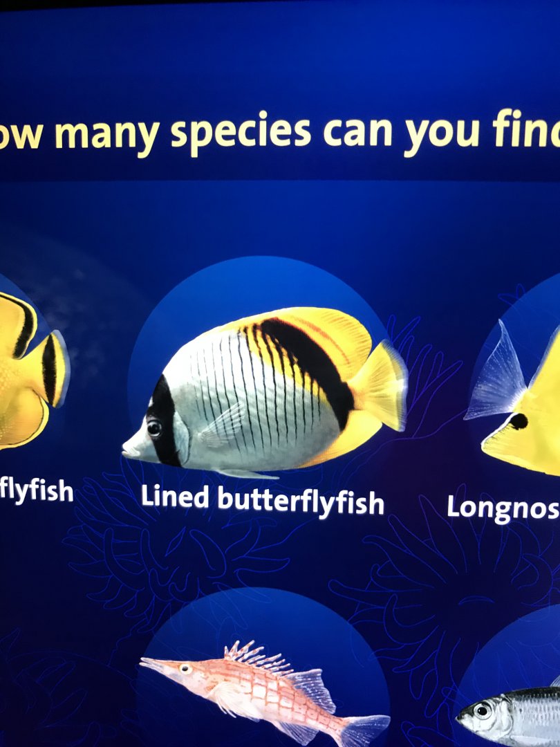 Digital Sigange example