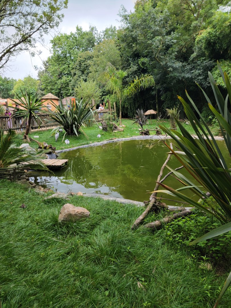 Dik-Dik, Cranes and Storks exhibit
