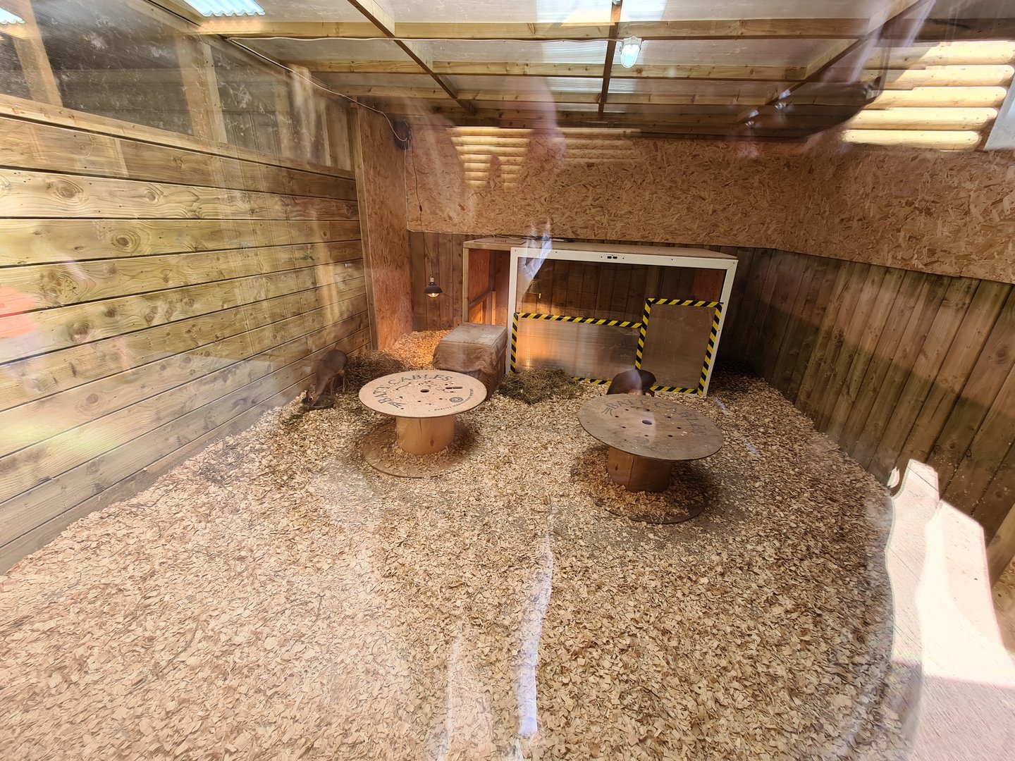 Dik-dik enclosure, Axe Valley