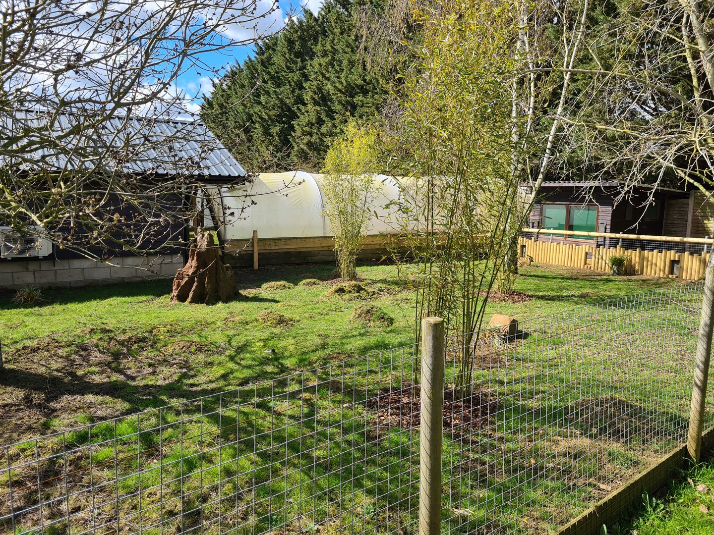 Dik-dik enclosure, Hamerton