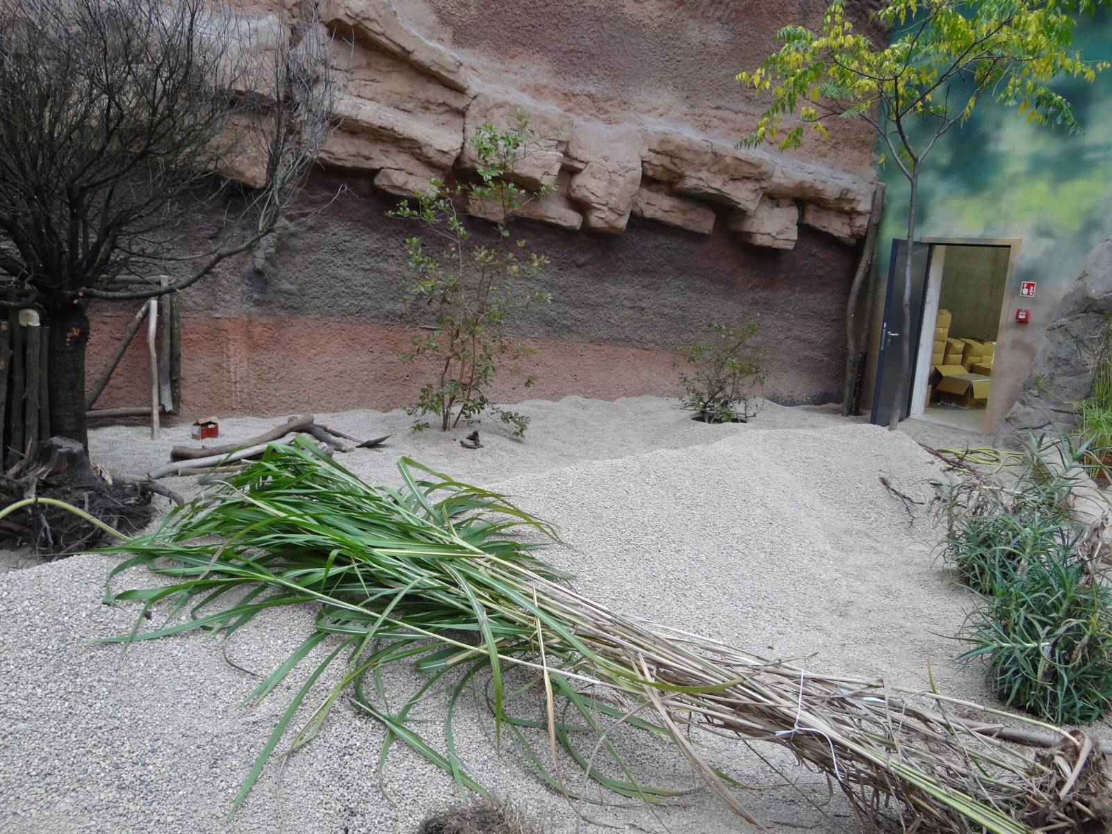 Dik-dik enclosure