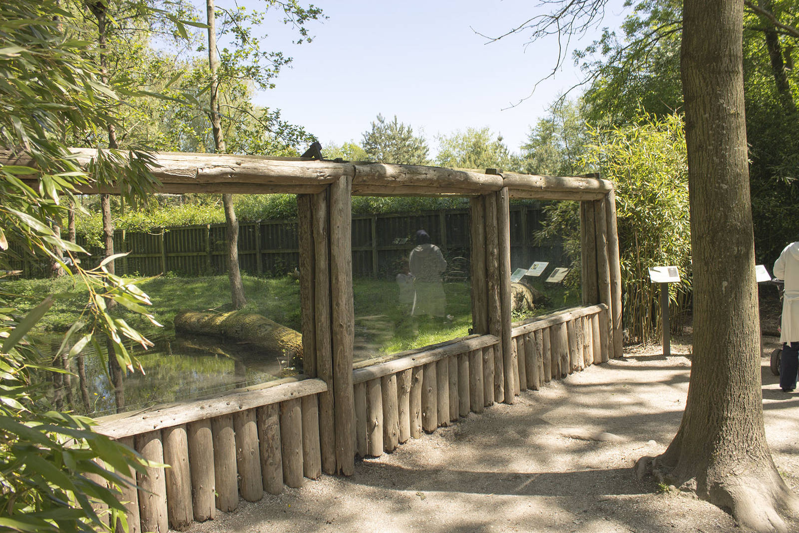 Dikdik enclosure (May 23th, 2015)