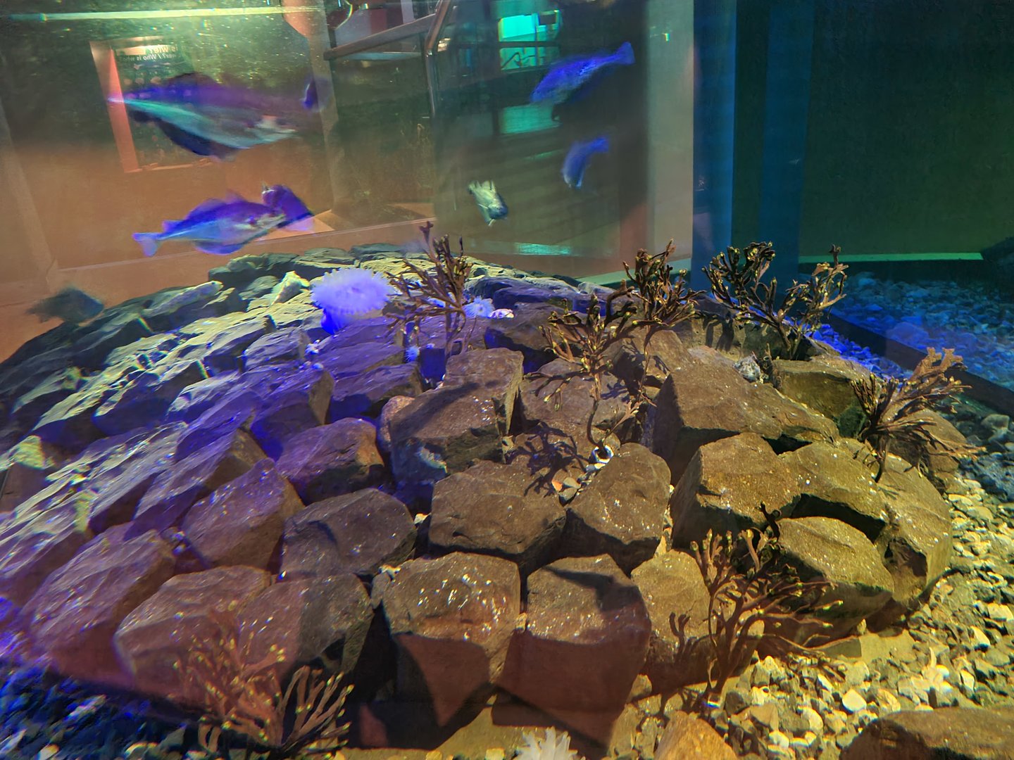 Dike tank - Interior