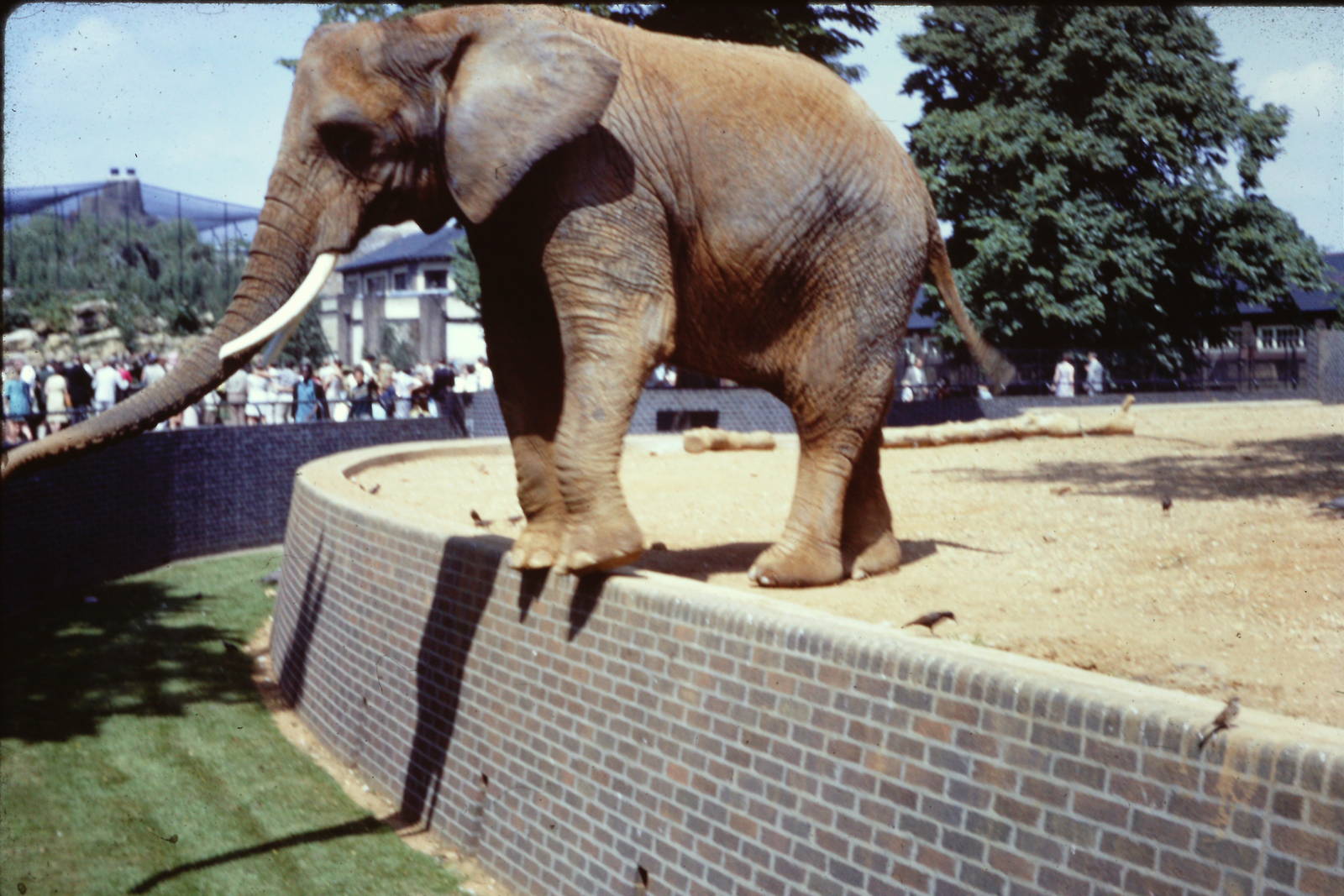 Diksie, September 1967